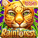 Rainforest