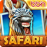 Safari
