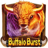 Buffalo Burst Buffalo-burst