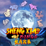 Sheng-xiao-bingo