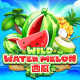 Wild-watermelon