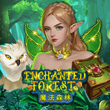 Enchanted-forest
