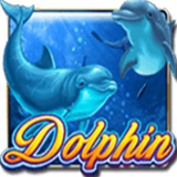 Dolphin-op
