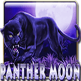 Panther-moon