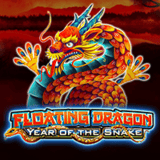 Floating-dragon-year-of-the-snake