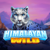 Himalayan-wild