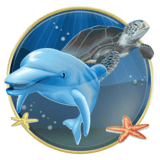 Dolphin-reef