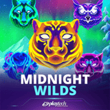 Midnight-wilds