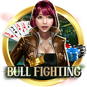 Bull-fighting