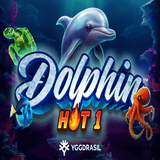 Dolphin-hot-1